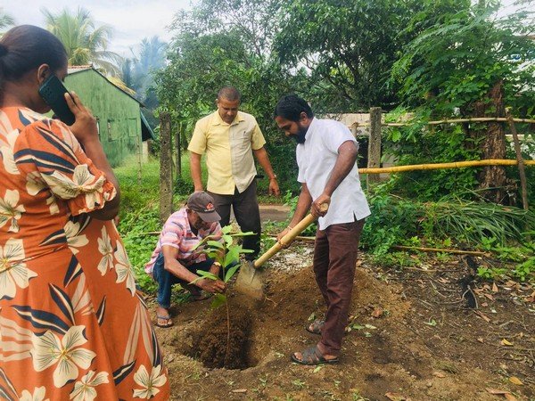 A tree planting program at "Sanhinda" Elderly Daycare Center (2024-06-06)